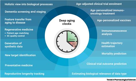 Deep Aging Clocks The Emergence Of Ai Based Biomarkers Of Aging And