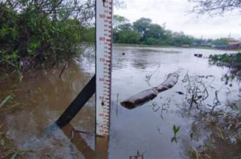 Nível do rio Guaíba em Porto Alegre diminui e água cessa de avançar