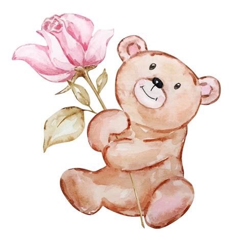 Illustration Aquarelle D Ours En Peluche Avec Une Rose Saint Valentin