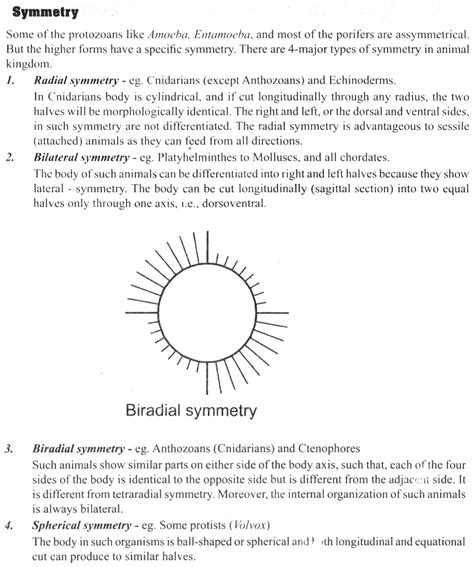 Difference Between Spherical Symmetry And Radial Symmetry