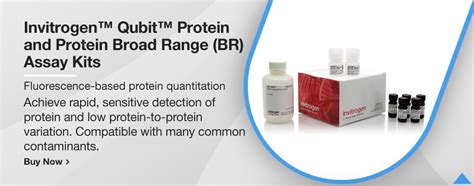 Total Protein Assay Kits Fisher Scientific