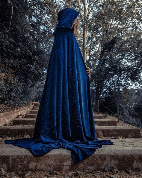 A Woman In A Blue Cloak Is Standing On Some Steps With Her Back Turned