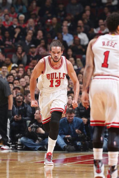 Joakim Noah Chicago Sports, Chicago Bulls, Joakim Noah, Bulls ...