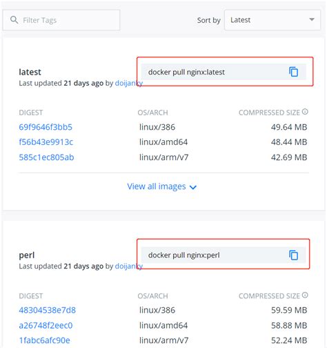 Docker 安装 Nginx