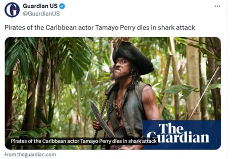 Tamayo Perry Surfeur Et Acteur De Pirates Des Cara Bes Attaqu Et