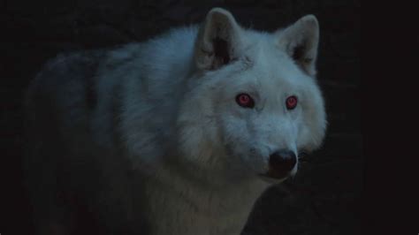 Fans are all about Jon Snow's direwolf Ghost finally returning in Game ...