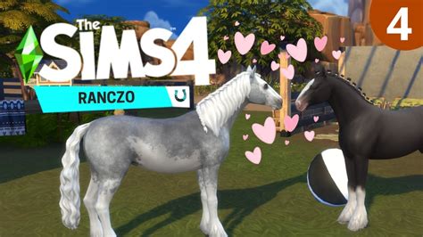 Staramy Si O Rebaka First Look The Sims Ranczo Youtube