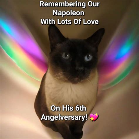 Love and miss you... - Moses and Patches' Crusade of Love | Facebook