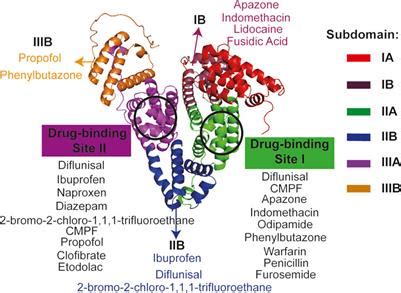 Frontiers Research Progress On Albumin Based Hydrogels Properties