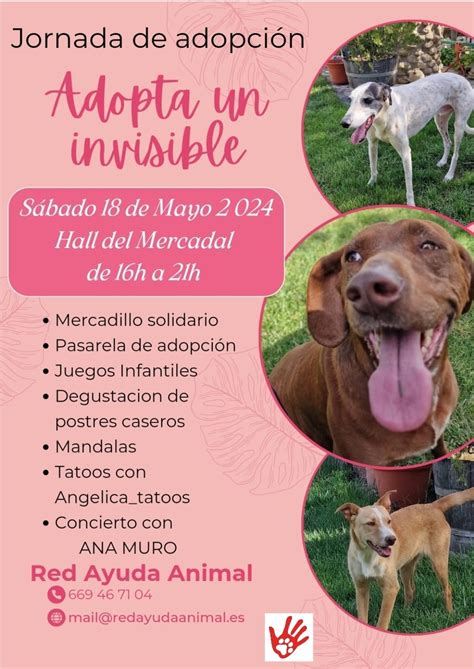 Red de Ayuda Animal organiza una jornada de adopción de perros