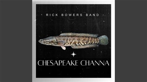 Chesapeake Channa YouTube