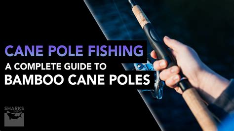 Cane Pole Fishing — A Complete Guide To Bamboo Cane Poles – sharksinfo.com