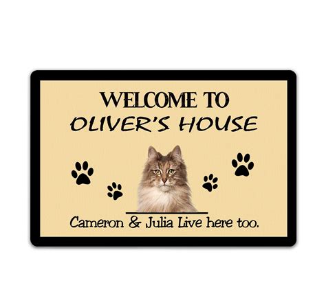 Norwegian Forest Cat Kitten Yellow