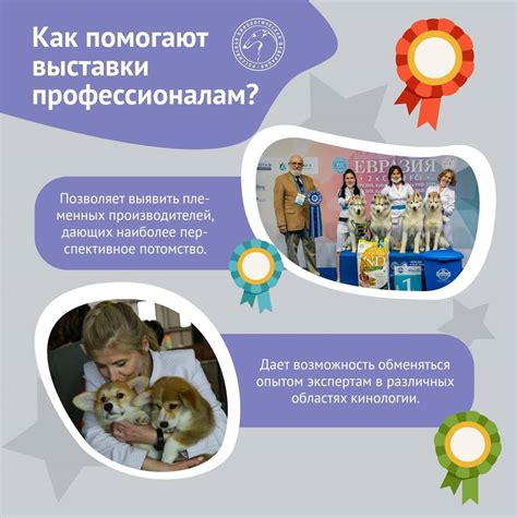 Выставки собак - Silky-Life.RU