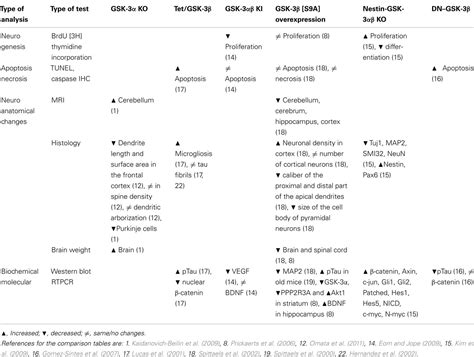 Frontiers Gsk 3 Functional Insights From Cell Biology And Animal Models