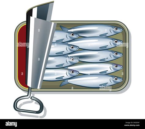 sardines in oil Stock Photo - Alamy