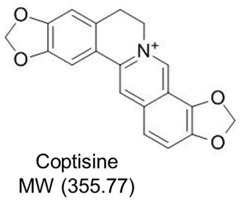 Molecules Free Full Text Coptisine Attenuates DiabetesAssociated