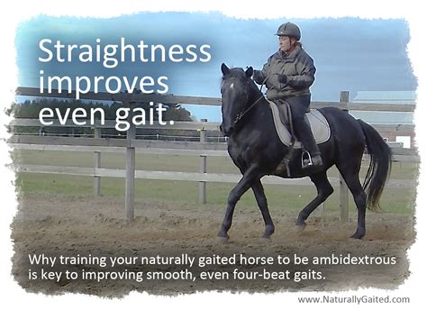 Straightness Improves Natural Smooth Gait Naturally Gaited Horse