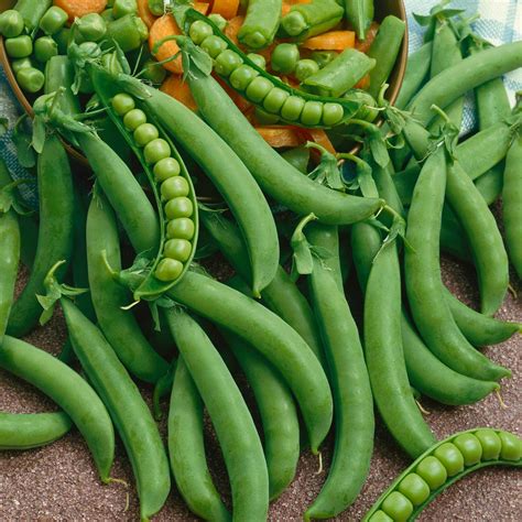 Organic Pea Seeds - Green Arrow - Aasgardens