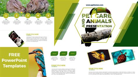 Free Simple Pet Care And Animals Presentation Powerpoint Templates