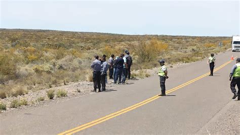 Escalofriante Hallazgo A La Vera De La Ruta En Roca Minuto Neuquen