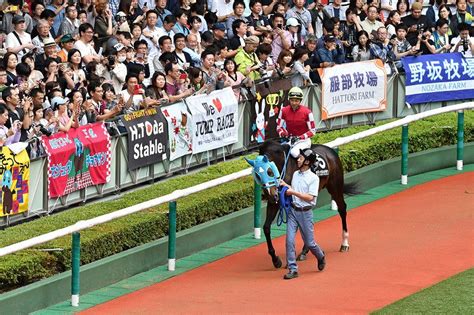 競馬：競馬界の常識を覆したオジュウチョウサン 「有馬記念」に挑戦 写真特集28 毎日新聞