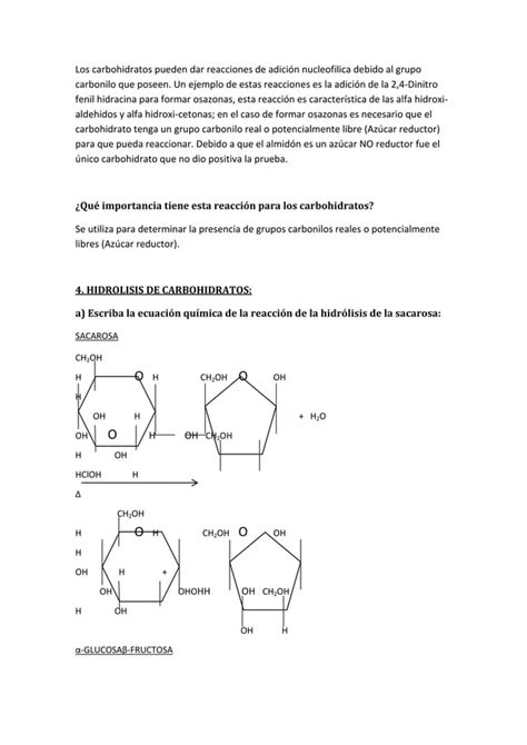 Reporte Quimica Organica General PDF