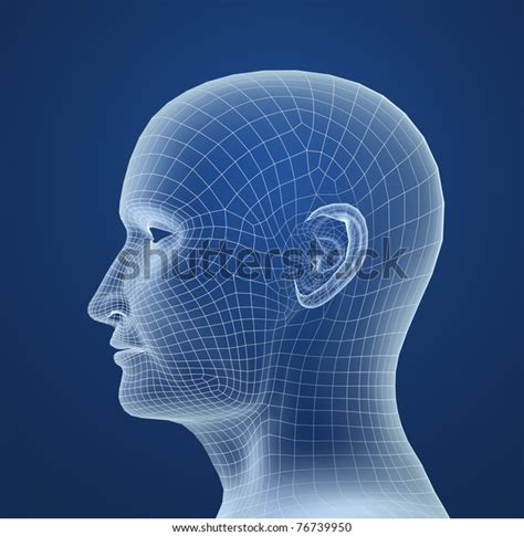 28,584 Transparent Human Head Images, Stock Photos, 3D objects ...