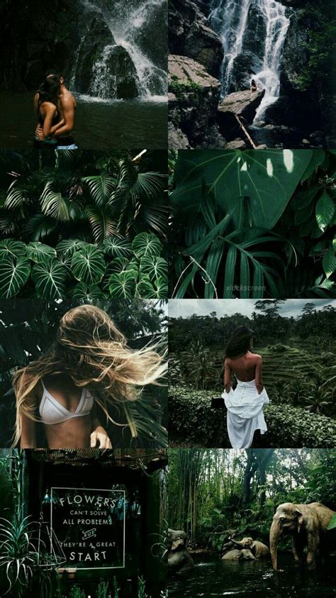 A Collage Of Photos With People In The Water And Jungles Around Them