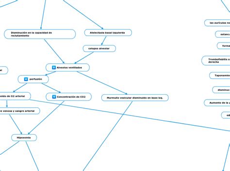 Derrame Pleural Izquierdo Mind Map Sexiz Pix