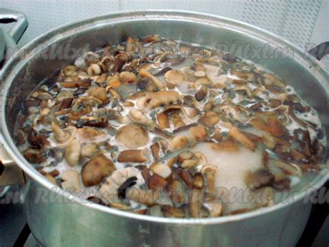 Рецепт соленых опят на зиму в банках: 10 фото в рецепте