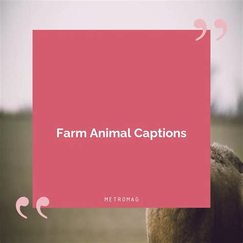 [updated] Nature Captions 283 Farm Captions And Quotes For Instagram Metromag