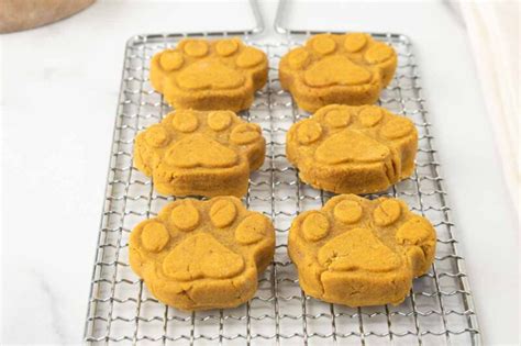 Easy Pumpkin Dog Biscuits Recipe - Spoiled Hounds