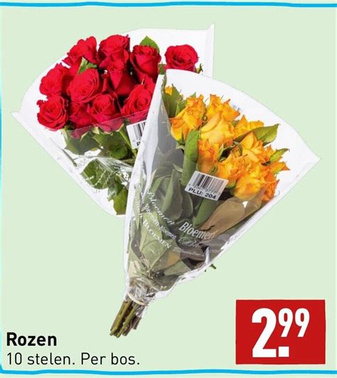 Rozen Stelen Aanbieding Bij Aldi