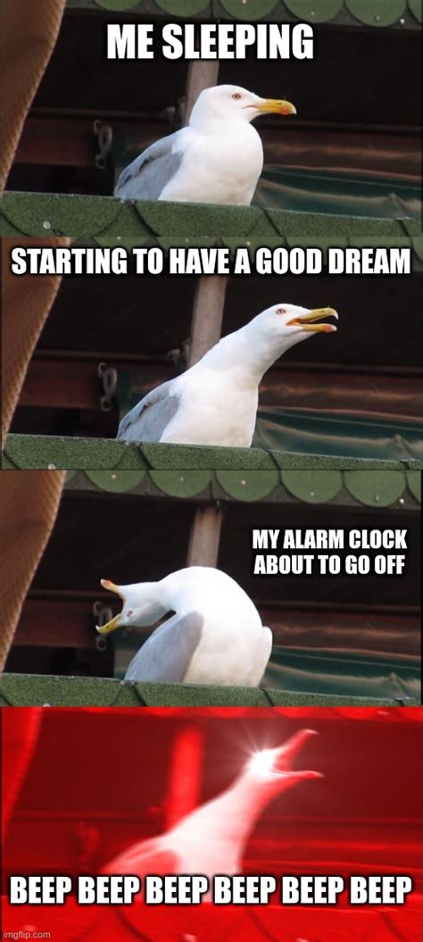 Stupid Alarm Clock Imgflip