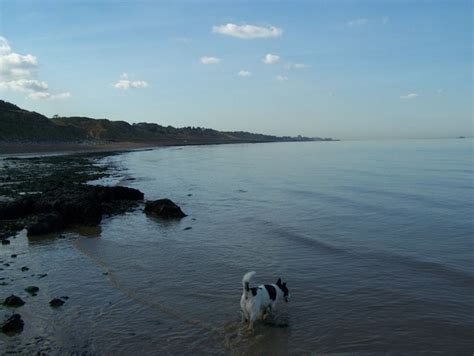 Herne Bay And Cliffs From Bishopstone © David Anstiss Geograph