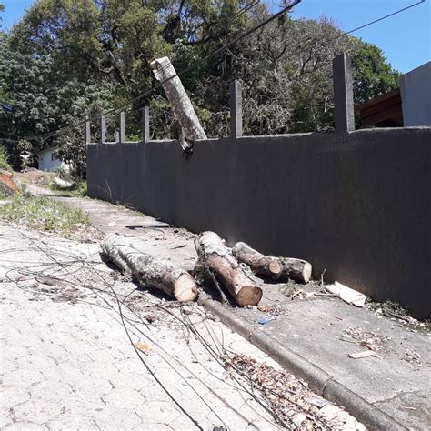 Temporal provoca queda de árvore e deixa bairros sem luz em Florianópolis