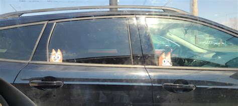 Spotted in Evansville IN today! : r/bluey