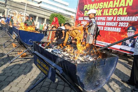 Peredaran Rokok Ilegal Masih Marak Penerimaan Bea Dan Cukai Bakal