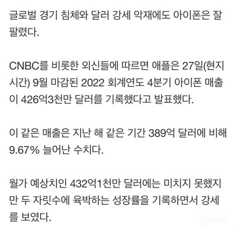 애플 아이폰14 프로 없어서 못 팔 정도다 인스티즈instiz 인티포털 카테고리