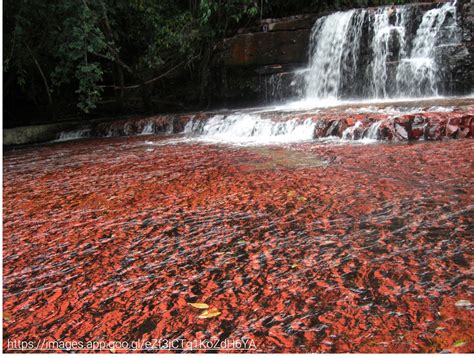 Geología De Guayana Y Sus Recursos Minerales Venezuela By Magaly