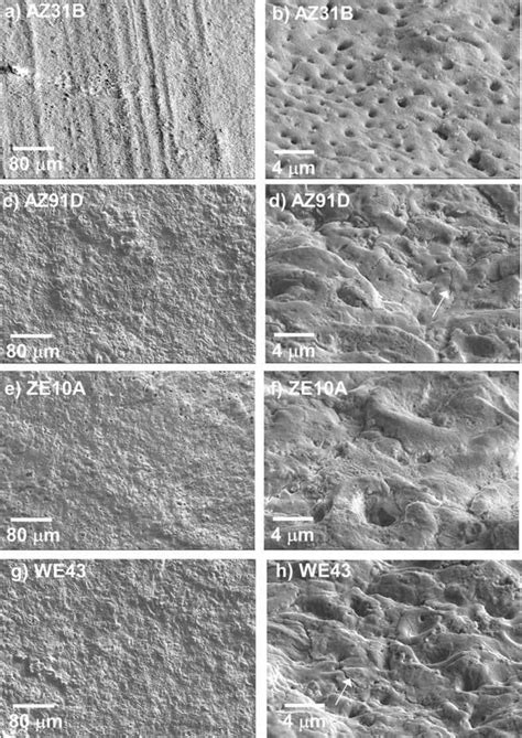 Magnesium Alloy Effects On Peo Electroceramic And Electrocoat