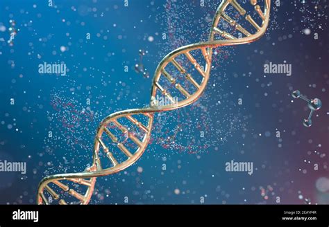 Dna Genomes Structure With Division Molecule D Rendering Computer