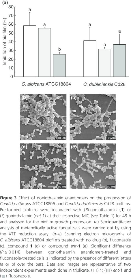 Effect Of Goniothalamin Enantiomers On The Adhesion Of Candida Albicans