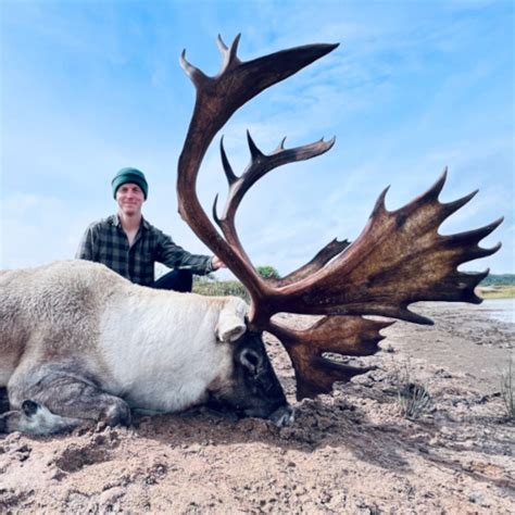 Home Deep Country Lodge Trophy Woodland Caribou Hunting In