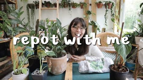 Repotting New Plants More Plants On Planks Repot With Me Youtube