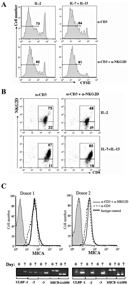 Role Of Il 7 And Il 15 In Nkg2d Mediated Costimulation And Induction Of