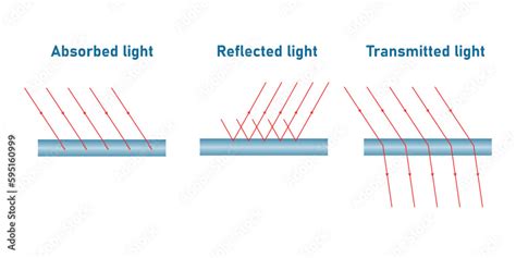 Reflection Absorption And Transmission Of Light Light Falls On A