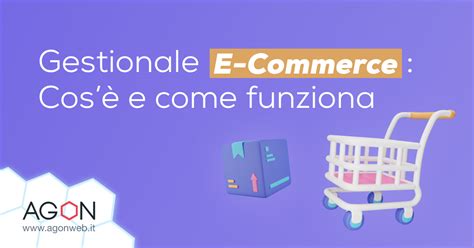 Gestionale e commerce cosè e come funziona