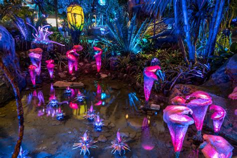 Pandora: The World of Avatar at night at Disney World’s Animal Kingdom | Orlando Informer